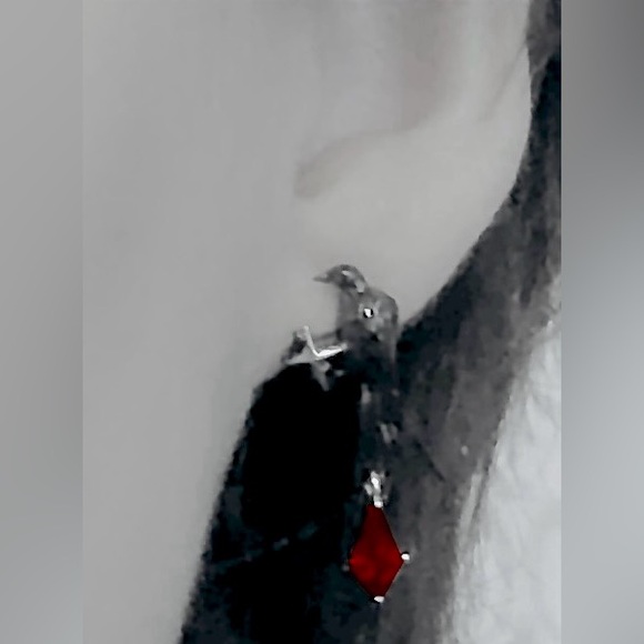 “Raven” Edgar Poe Perched Crow Bird Star Blood Droplet Macabre Gothic Grim Studs - Picture 16 of 16